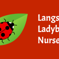 Langshott Ladybirds