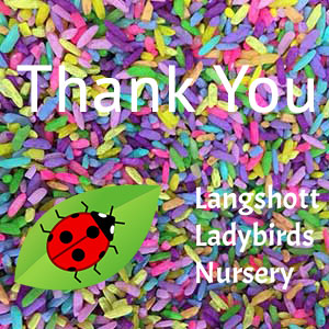 Thank You Friends Of Langshott Ladybirds